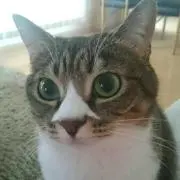 きっちゃん