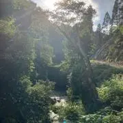 かめの画像