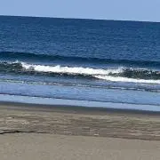 リータの画像