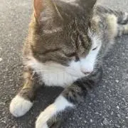 どのみちこのみち