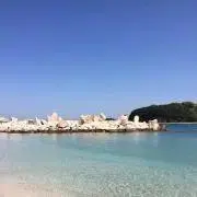 はなの画像