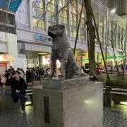 ゆずりんの画像
