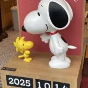 SAYAKAの画像