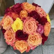 m_mの画像