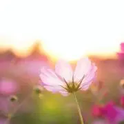 tina555の画像