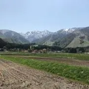 ごあじの画像