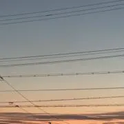 ヨシタカの画像