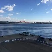 福寿草