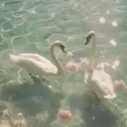 蜜蜂の画像