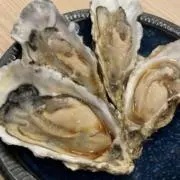 アナコンダ