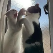 Lil Tjay・yvng patra着用】secretセットアップブラックS - メルカリ