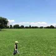 EMU 【プロフ必読】の画像