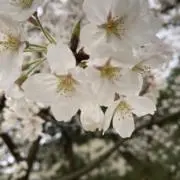 そうくんの画像