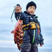 ゴン太