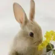 まる