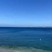 まりの画像