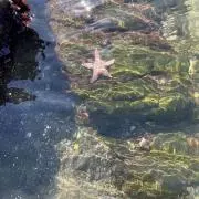 mariの画像