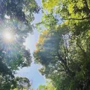 花  プロフ必読