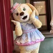 yy@6/12-16発送不可の画像