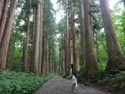 めめこの画像