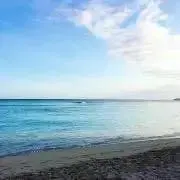 Sumireの画像
