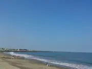 TE　★即購入可★24時間以内発送★の画像