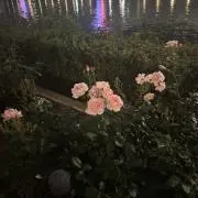 うーの画像