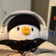 アヒルの画像