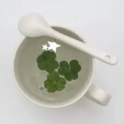 ネギの画像