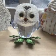 Dの画像