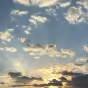 しろくまの画像