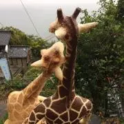 ☺︎の画像