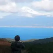 スケール