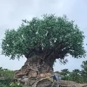 ぱんならの画像