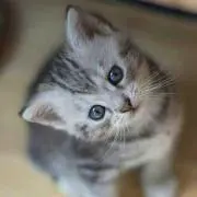 おすみ