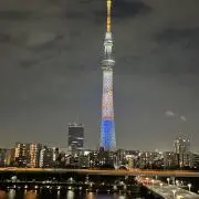 さぇの画像