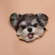 あ☺︎の画像