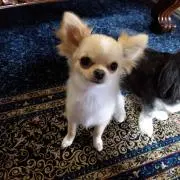 ピアノの画像
