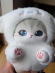 ここちゃんの画像