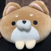 user_b716c6beの画像