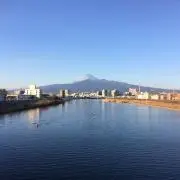 さゆの画像