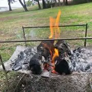 サブドラ