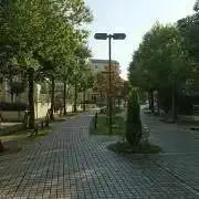 naaarrkkの画像