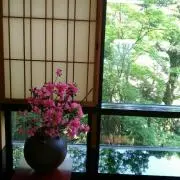 かにゃんの画像