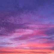 森田雄次の画像