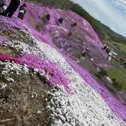 naamimiの画像