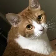 mu〜