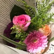 ふらんの画像