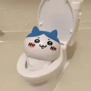 断捨離中の画像