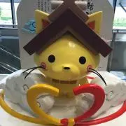 しまこ